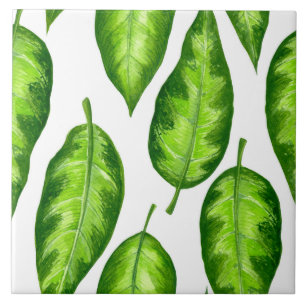 Folhas tropicais