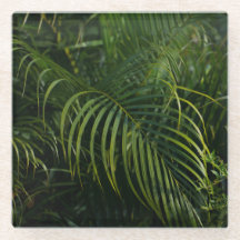 Folhas Tropicais, Botânica verde escura