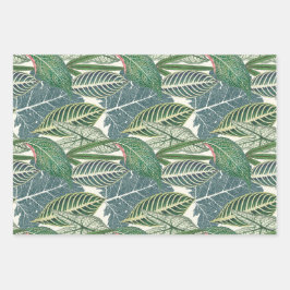 Folhas tropicais verdes