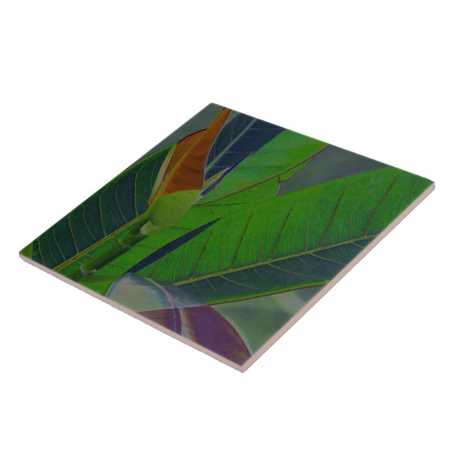 Folhas Verdes Close-Up (Lateral)