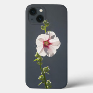 Folhas verdes e verdes, cor-de-rosa, com flor rosa