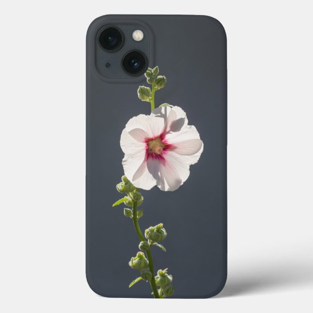 Folhas verdes e verdes, cor-de-rosa, com flor rosa (Verso)