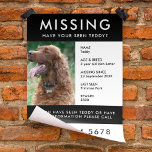 Folheto de folheto de fotos Poster do cão ausente<br><div class="desc">Um simples modelo de poster de panfleto para animais de estimação, para ajudar a espalhar a consciência na busca de um cão, gato ou outro animal de estimação desaparecido. O texto é fácil de personalizar, incluindo nome, idade, raça, data faltando, local visto pela última vez, recompensa ou outras informações. Há...</div>