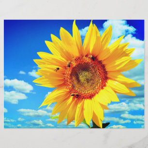 Folheto de Girassol Amarelo