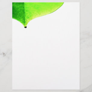 Folheto de Licença Verde