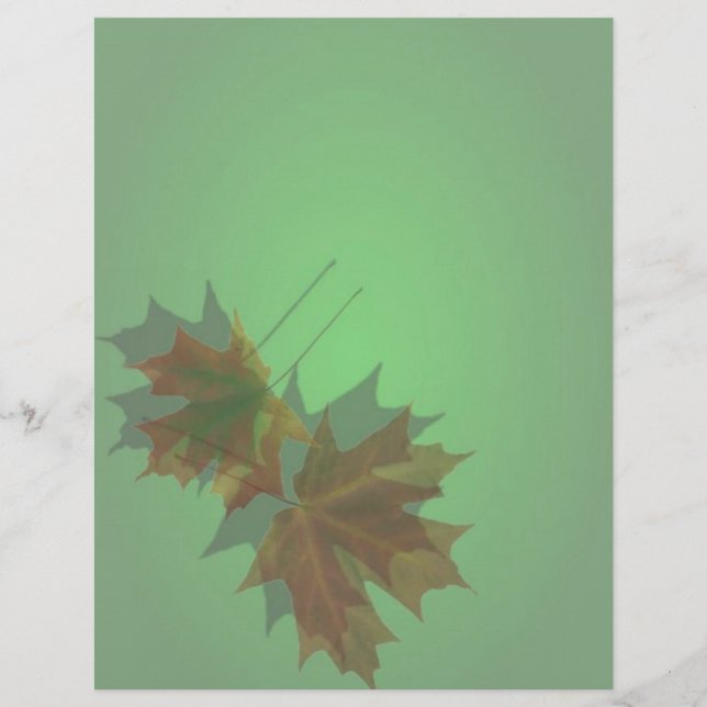 Folheto de Saída de Mapeamento (Frente)