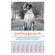 Folheto de Vendedores