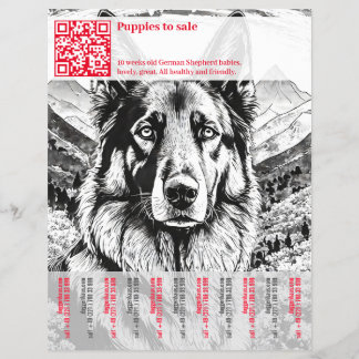 Folheto do german shepherd