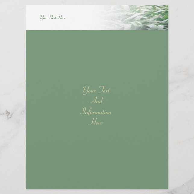 Folheto do gramado (Frente)