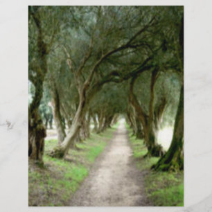 Folheto do Jardim Oleícola