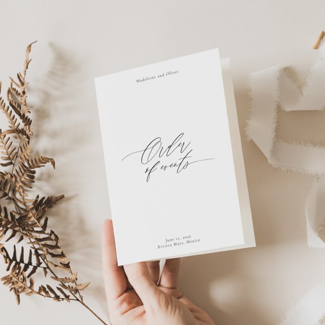 Folheto do programa de casamento moderno com linha (Criador carregado)