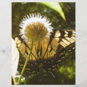 Folheto Monarch June