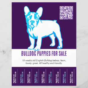 Folheto para vender cachorros Bulldog
