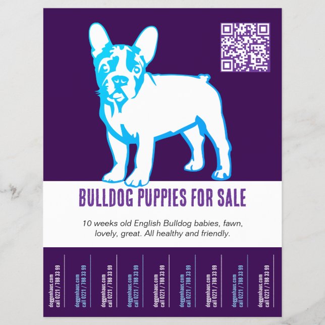 Folheto para vender cachorros Bulldog (Frente)
