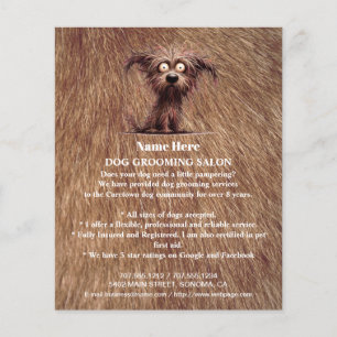 Folheto personalizado para a manutenção de cães