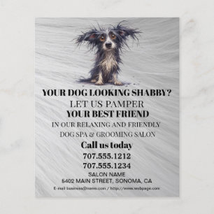 Folheto personalizado para a manutenção de cães