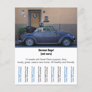 Folheto "Vendedor de Automóveis"