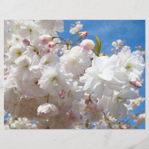 Folhetos Criam suas próprias flores personalizadas
