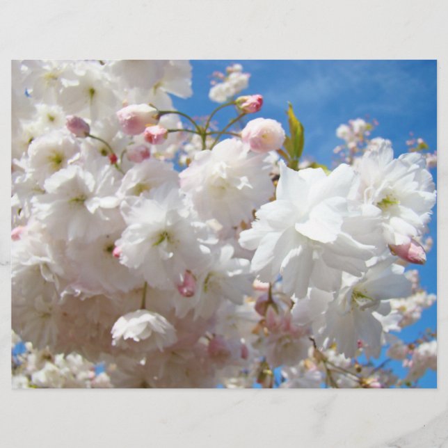 Folhetos Criam suas próprias flores personalizadas (Frente)