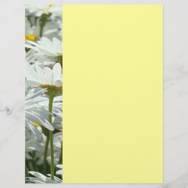 Folhetos de eventos de verão Festas de margarida F (Frente)