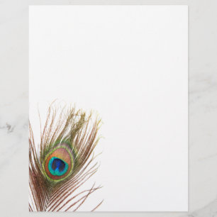 Folhetos de Pavock