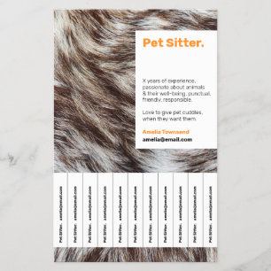 Folhetos de Pet Sitter Cão Walker Cuidado Animal C