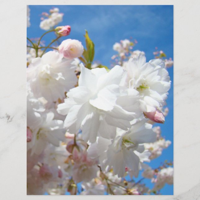 Folhetos de primavera Folhas de papel Azul Céu (Frente)