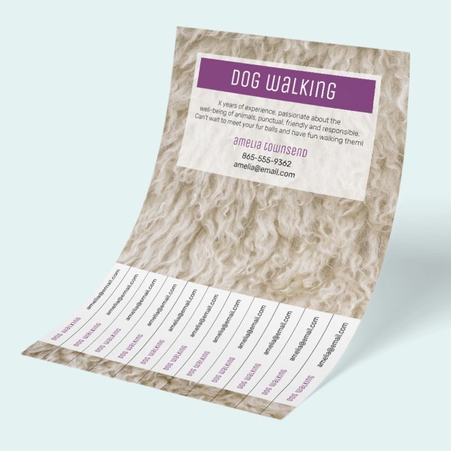 Folhetos Modernos de Pet Sitting Publicidade Empre (Attention grabbing Professional Dog Walking Business Flyers, clean modern branded advertising.)