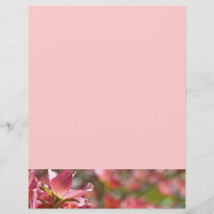 Folhetos personalizados Criam suas próprias flores