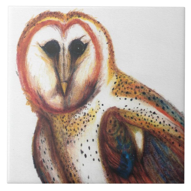 Folk Art Barn Owl Azulejo, De David I Stromberg (Frente)