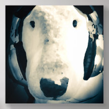 Fones de ouvido de visto Bull Terrier Inglês