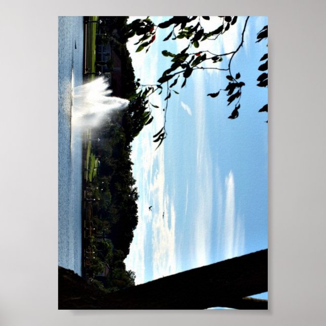 Fonte da foto do Lake Mirror em um poster (Frente)