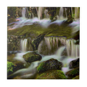 Fonte de Samambaia, Parque Nacional de Yosemite, C