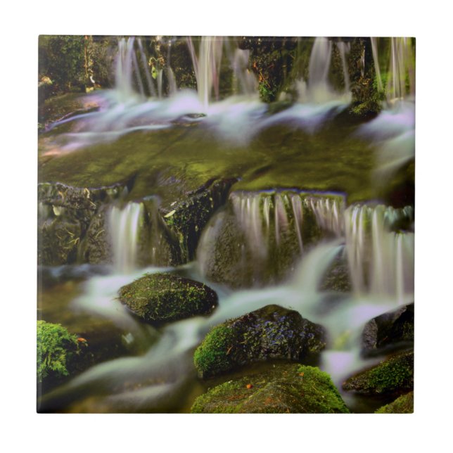 Fonte de Samambaia, Parque Nacional de Yosemite, C (Frente)
