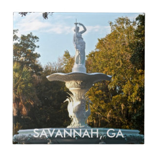 Fonte do parque do savana GA Geórgia | Forsyth
