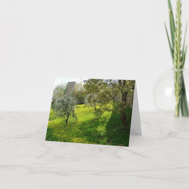 Fora das paredes de San Gimignano Cartão de saudaç (Frente)