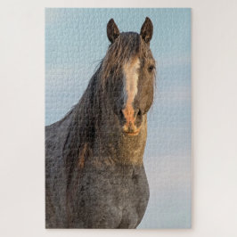 "Força da Natureza", Quebra-cabeça de Jigsen