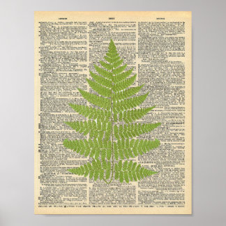 Forest Fern vintage dictionary page poster