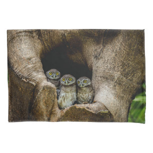 Forests Three Owls Looking