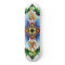 Forma elementar do skate da mandala