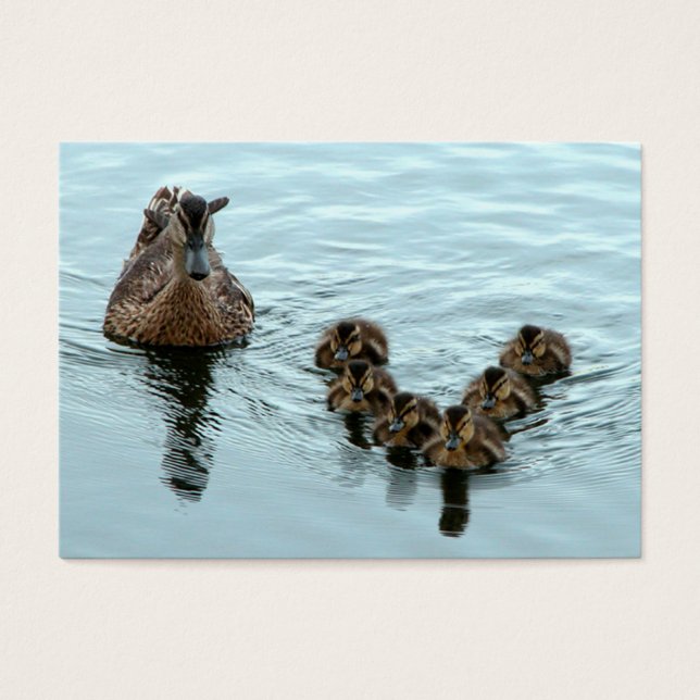 Formação de patos (Frente)
