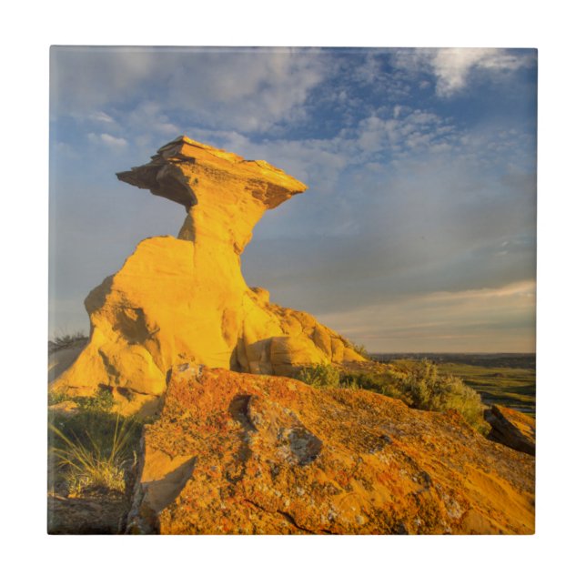 Formação Esculturada das Badlands em Grama Curta (Frente)