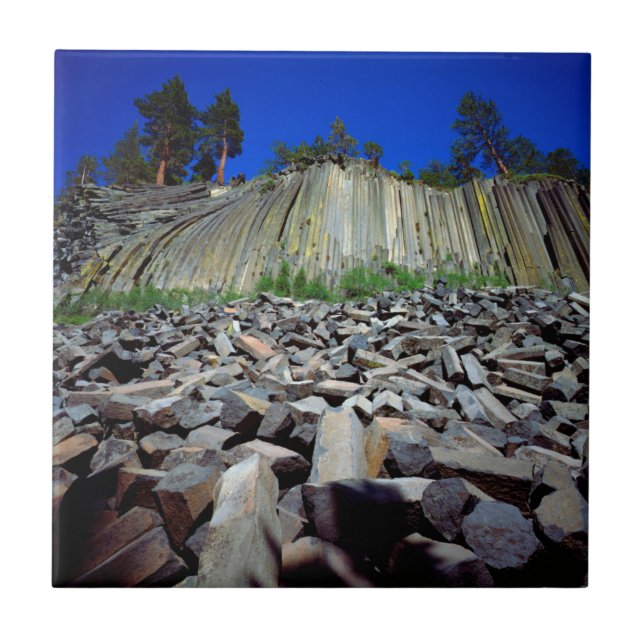 Formações de Basalto de Devils Postpile (Frente)