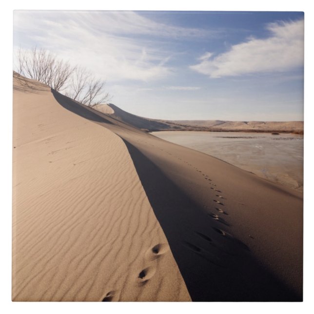 Formações de dunas de areia. Parque Estadual das D (Frente)