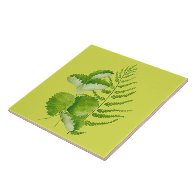 Formulários em verde num Azulejo cerâmico (Lateral)