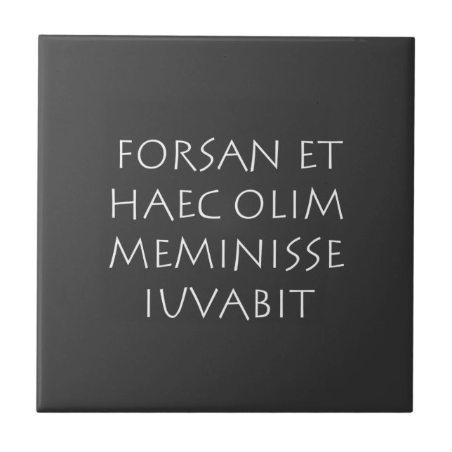 Forsan et haec olim meminisse iuvabit (Frente)