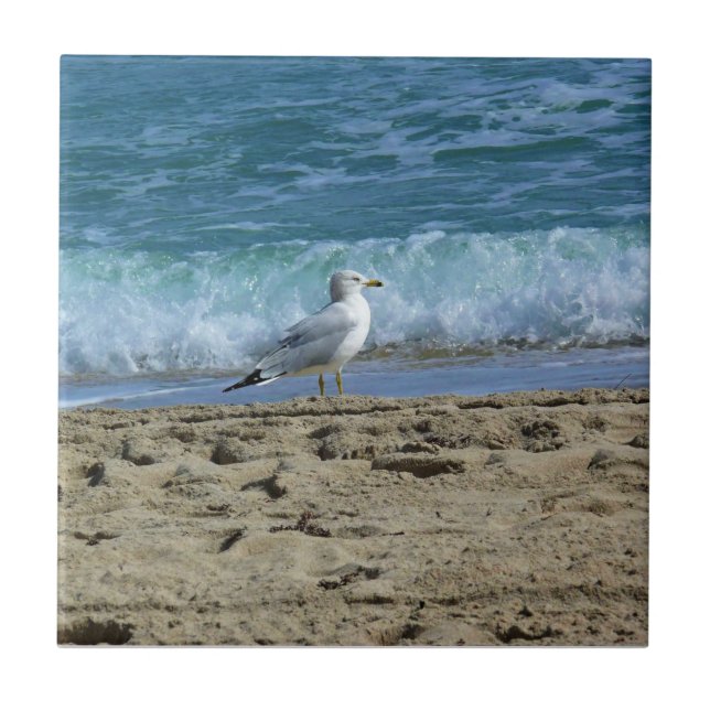 Fort Lauderdale, Florida (Frente)