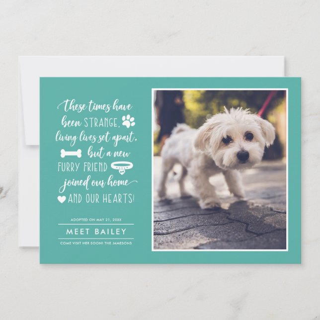 Forte Tempos Novo Anúncio de Foto Pet | Cerceta (Frente)