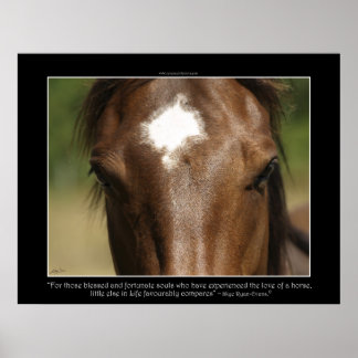 FORTUNADO ~ Poster de Fotografia com Cavalo de Cas