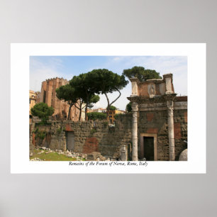 Fórum do poster de Nerva